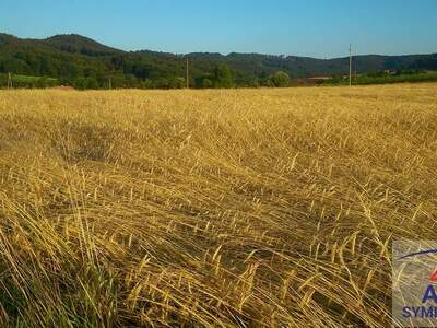 Grundstück kaufen in 8282 Loipersdorf