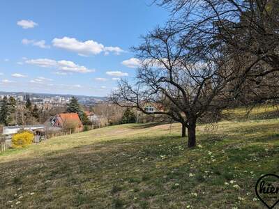 Grundstück kaufen in 8052 Graz (Bild 2)