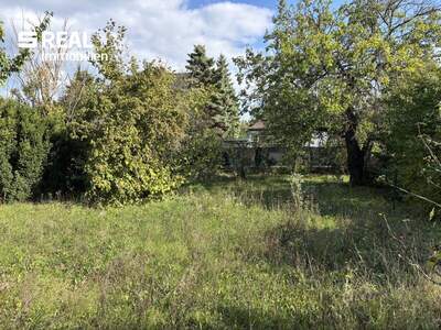 Haus kaufen in 2201 Gerasdorf (Bild 4)