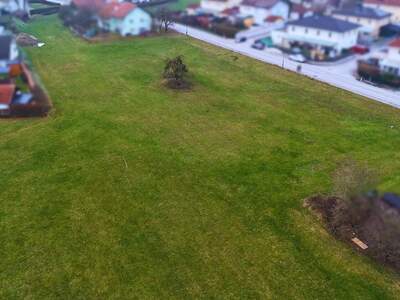 Grundstück kaufen in 4710 Grieskirchen