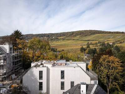 Anlageobjekt kaufen in 1190 Wien