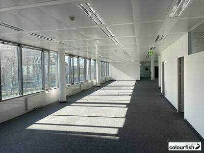 Gewerbeobjekt mieten in 1110 Wien