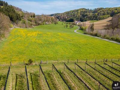 Gewerbeobjekt kaufen in 8333 Riegersburg (Bild 3)