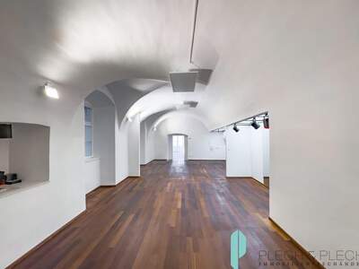Gewerbeobjekt mieten in 1010 Wien (Bild 5)