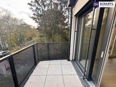 Terrassenwohnung kaufen in 1170 Wien (Bild 4)