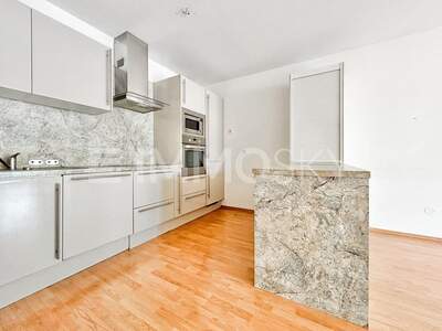 Terrassenwohnung kaufen in 1110 Wien (Bild 3)