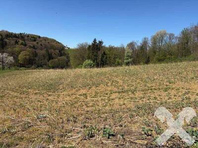 Gewerbeobjekt kaufen in 8342 Gnas