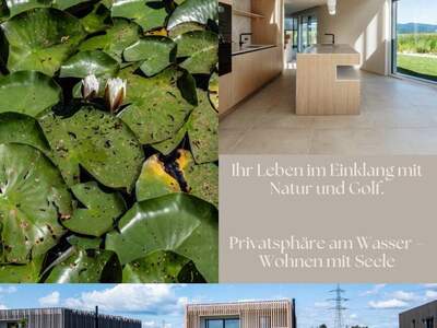 Haus kaufen in 2821 Lanzenkirchen