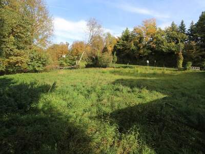 Grundstück kaufen in 4600 Eben