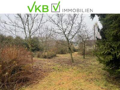 Grundstück kaufen in 4211 Spattendorf