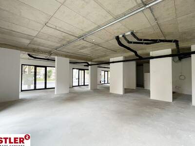 Gewerbeobjekt mieten in 8020 Graz (Bild 2)