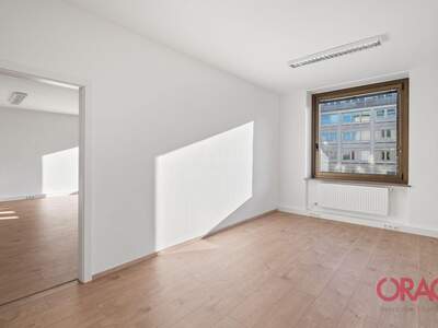 Gewerbeobjekt mieten in 1010 Wien (Bild 5)