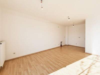 Terrassenwohnung mieten in 3691 Nöchling (Bild 5)