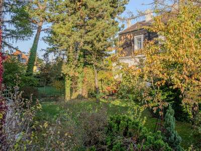 Mehrfamilienhaus kaufen in 1230 Wien (Bild 5)
