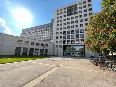 Gewerbeobjekt mieten in 1020 Wien (Bild 1)