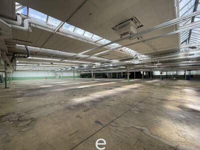 Gewerbeobjekt mieten in 4881 Straß (Bild 5)