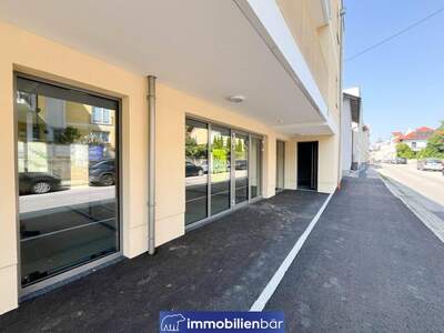 Anlageobjekt kaufen in 4710 Grieskirchen