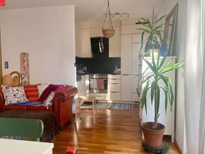 Haus mit Garten kaufen in 4020 Linz (Bild 4)