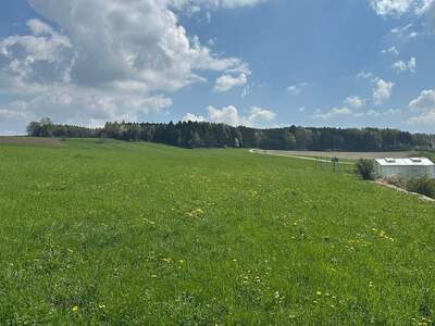 Grundstück kaufen in 5143 Feldkirchen (Bild 2)