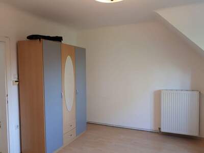 Altbauwohnung mieten in 1130 Wien (Bild 4)