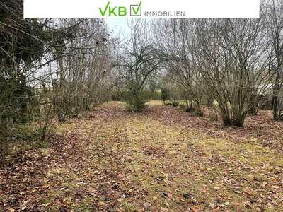 Grundstück kaufen in 4211 Alberndorf