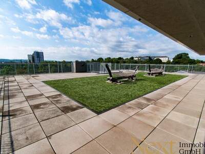 Terrassenwohnung mieten in 4020 Linz (Bild 2)