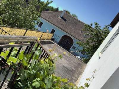 Einfamilienhaus kaufen in 3481 Fels (Bild 4)