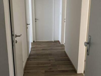 Wohnung mieten in 4400 Steyr