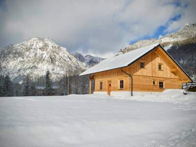 Anlageobjekt kaufen in 8612 Oberort