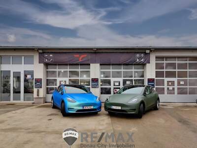 Lager mieten in 2201 Hagenbrunn (Bild 3)