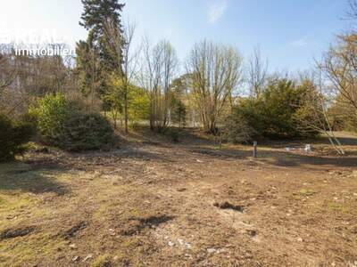 Grundstück kaufen in 2371 Hinterbrühl (Bild 4)