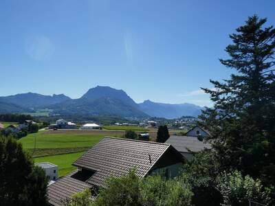 Haus kaufen in 4694 Ohlsdorf