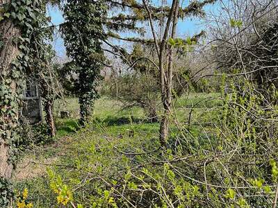 Grundstück kaufen in 2201 Gerasdorf (Bild 5)