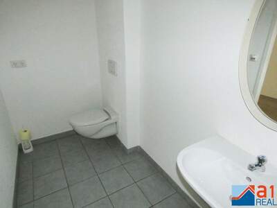 Gewerbeobjekt mieten in 4050 Traun (Bild 3)