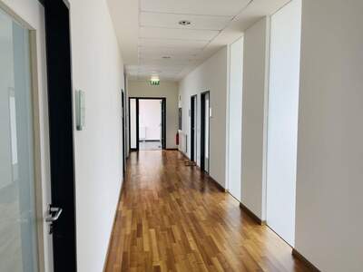 Gewerbeobjekt mieten in 5071 Himmelreich (Bild 4)