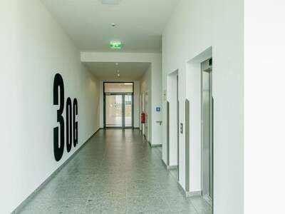 Gewerbeobjekt mieten in 8430 Leibnitz (Bild 3)