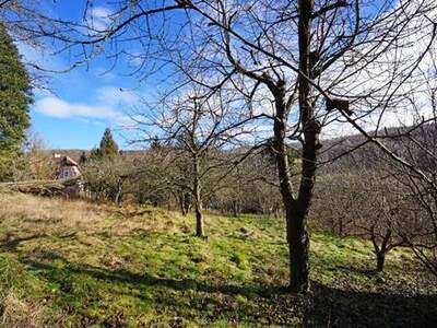 Grundstück kaufen in 3001 Mauerbach