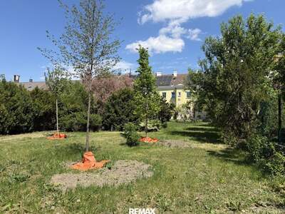 Haus mit Garten kaufen in 1230 Wien (Bild 4)