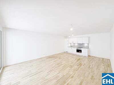 Terrassenwohnung mieten in 1150 Wien (Bild 2)