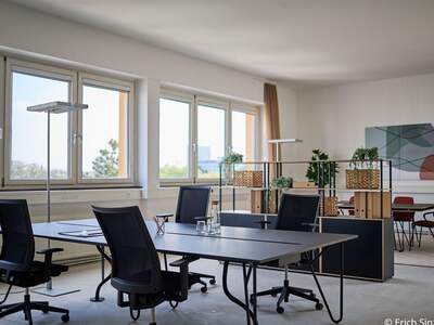Gewerbeobjekt mieten in 1100 Wien (Bild 5)