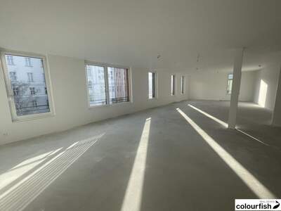 Gewerbeobjekt mieten in 2340 Mödling (Bild 4)