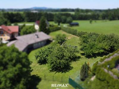 Grundstück kaufen in 5301 Eugendorf