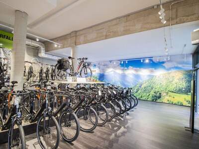 Anlageobjekt kaufen in 9800 Spittal (Bild 3)