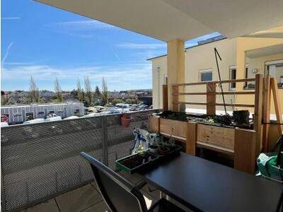 Terrassenwohnung mieten in 2544 Leobersdorf (Bild 3)