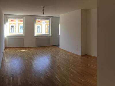 Apartment provisionsfrei mieten in 1160 Wien