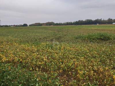 Land- und Forstwirtschaft kaufen in 2232 Deutsch Wagram
