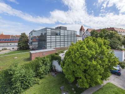 Gewerbeobjekt kaufen in 2700 Wiener Neustadt (Bild 2)