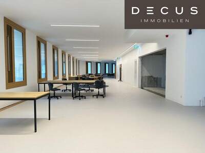 Büro / Praxis mieten in 1220 Wien (Bild 2)