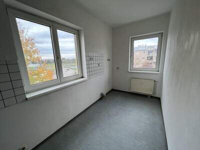 Terrassenwohnung mieten in 4470 Enns (Bild 5)