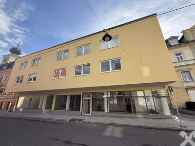 Gewerbeobjekt mieten in 8940 Liezen (Bild 3)